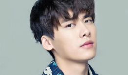 吃瓜爆料网站李易峰,娱乐圈风云再起，吃瓜爆料网站揭秘明星幕后故事